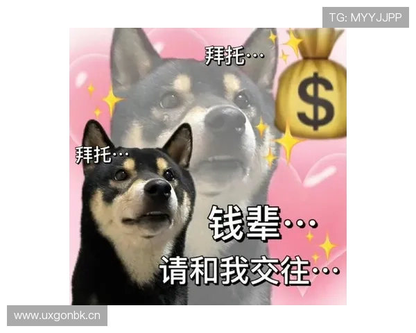 哈登家的狗都比我会理财