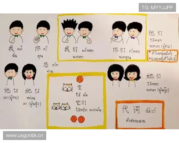 初学者指南：轻松理解篮球着地空间规则